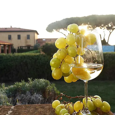 Podere San Giuseppe Aparthotel San Vincenzo