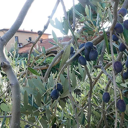 Podere San Giuseppe 3*