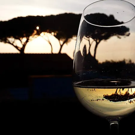Podere San Giuseppe San Vincenzo