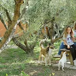 Podere San Giuseppe 4* Σαν Βιντσέντσο