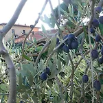 Podere San Giuseppe 4*